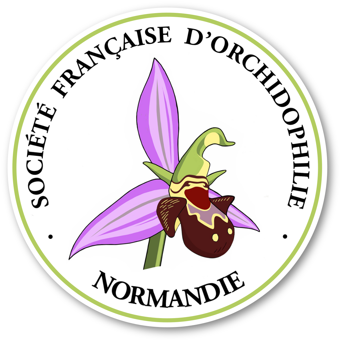 Logo Société Française d’Orchidophilie - Normandie