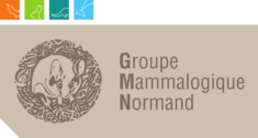 Logo Groupe Mammalogique Normand